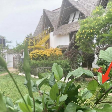 Botanica Eco Lodge Michamvi Εξωτερικό φωτογραφία
