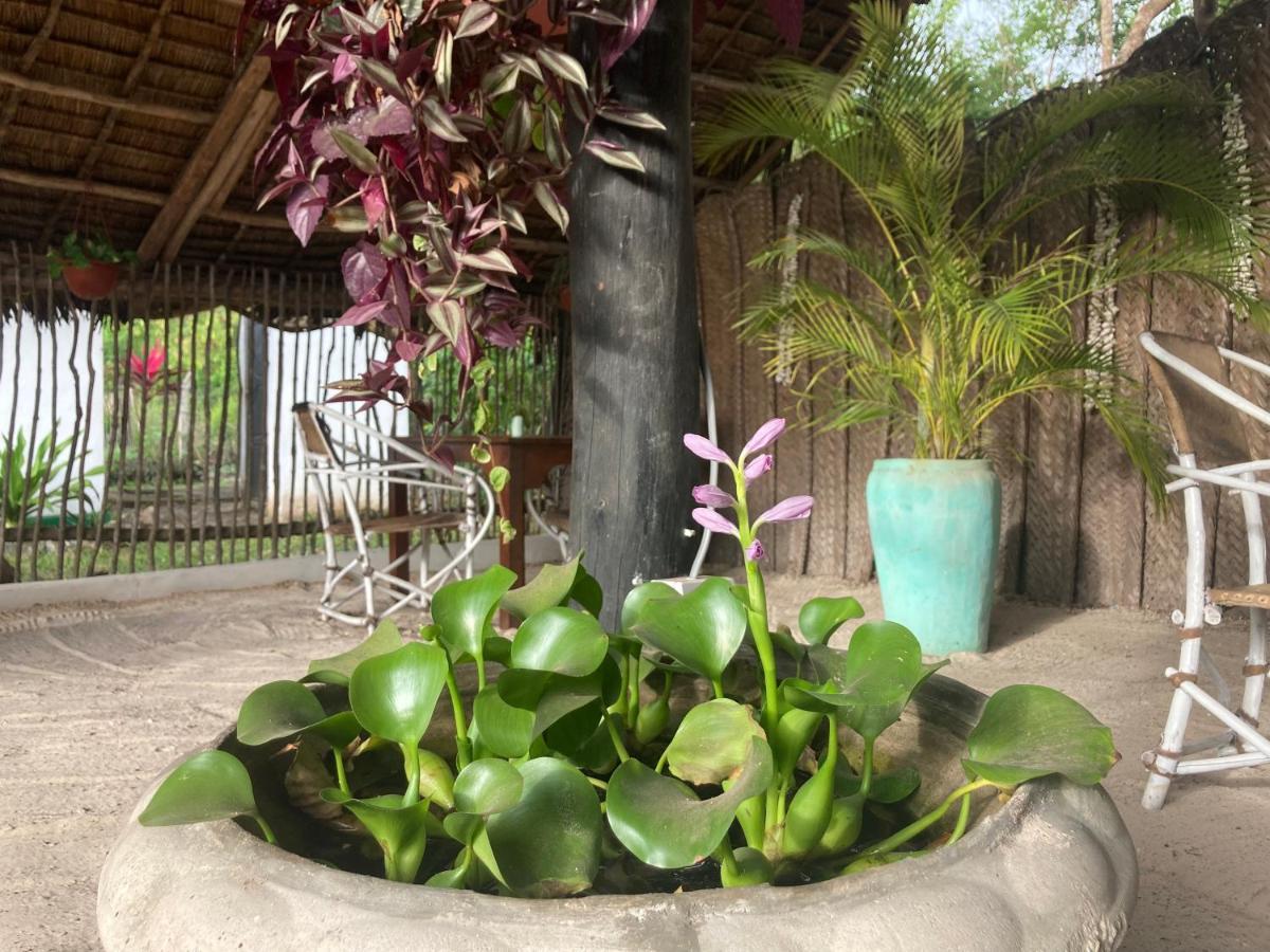 Botanica Eco Lodge Michamvi Εξωτερικό φωτογραφία