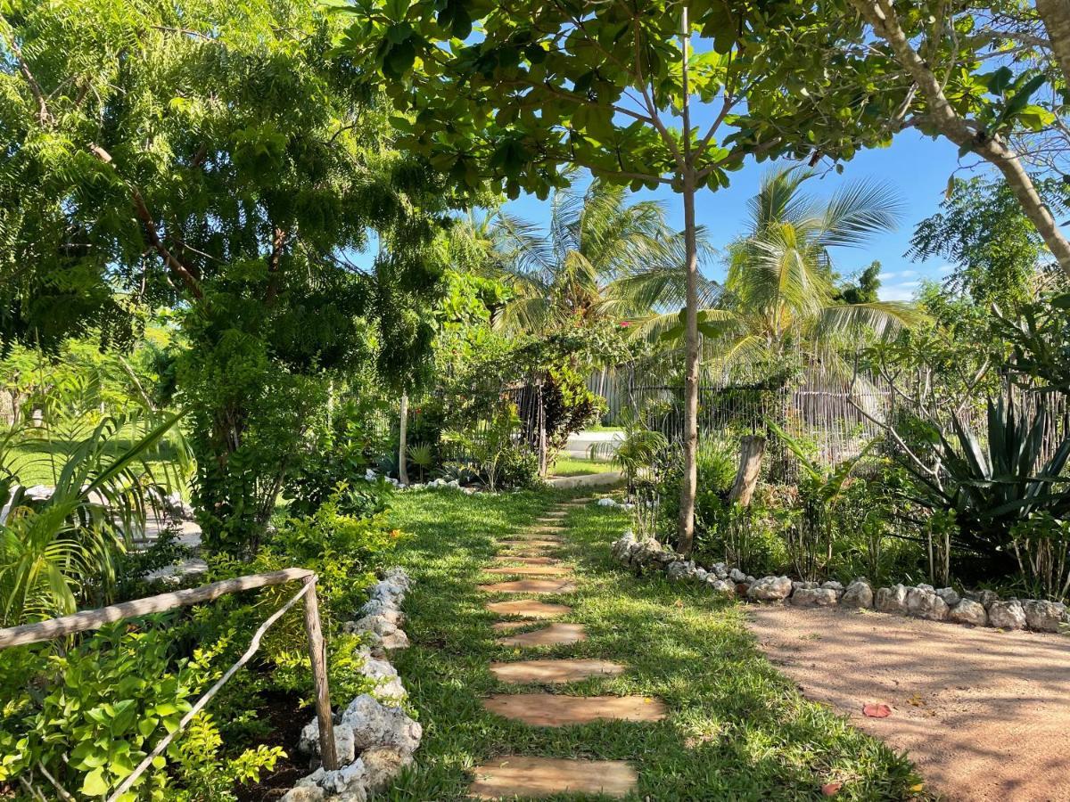 Botanica Eco Lodge Michamvi Εξωτερικό φωτογραφία
