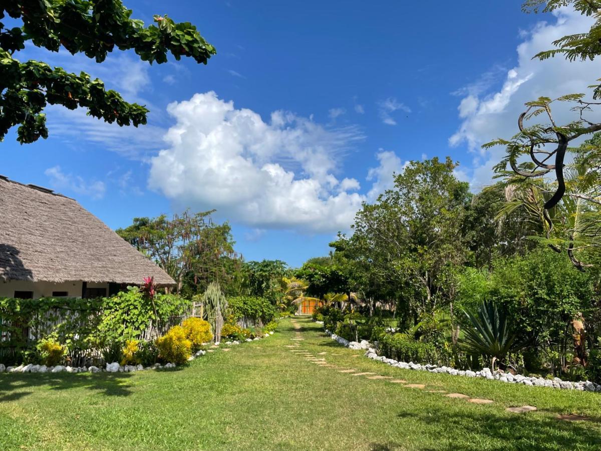 Botanica Eco Lodge Michamvi Εξωτερικό φωτογραφία